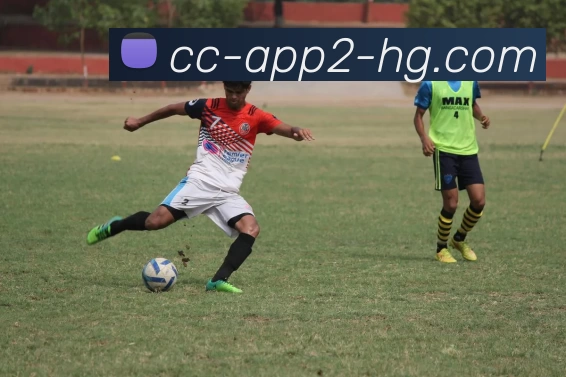 皇冠体育APP 封面图